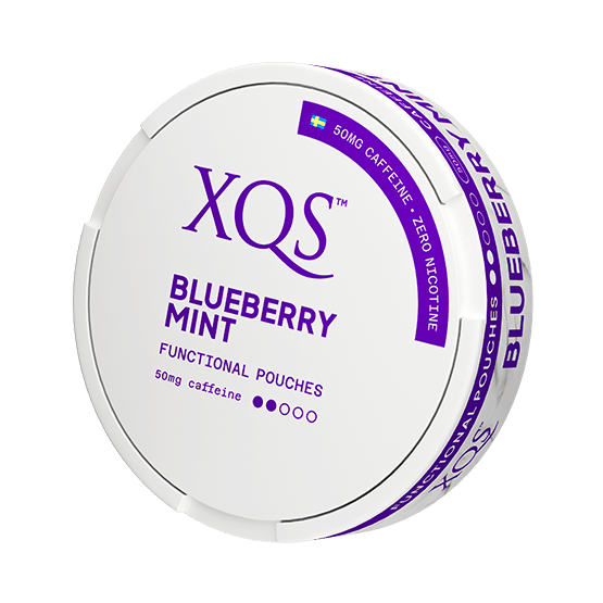 XQS Blueberry Mint Nikotinfri